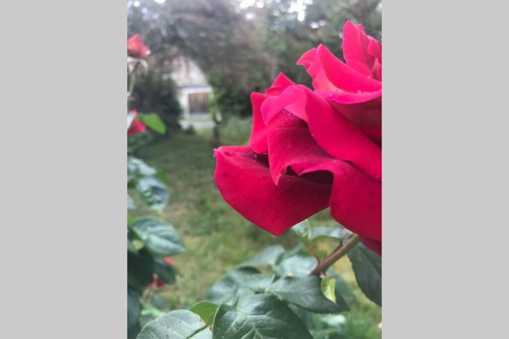 Hébergement de vacances Maison Avec Jardin Dans Village Reaup